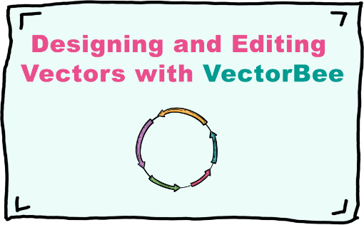 Designing and Editing Vectors with VectorBee